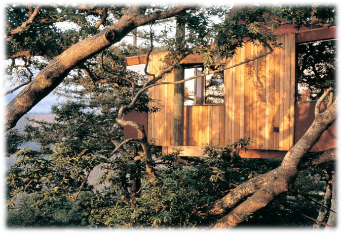 說明: http://m.abf-j.com/uploadfiles/20170115170708964004.png